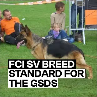 FCI SV Breed Standard for the GSDs