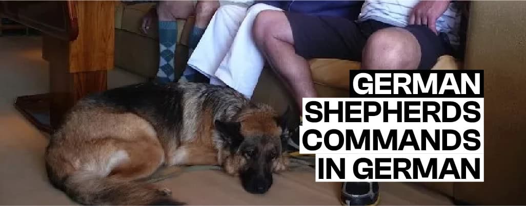 GSD Commands in German with English